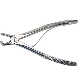 Forceps veterinario extracción ángulo derecho
