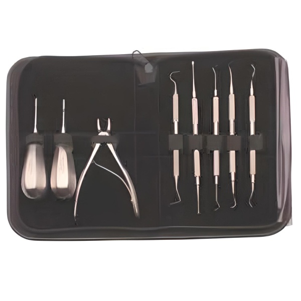 Set instrumental dental gatos