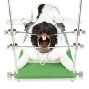 Tabla cirugía roedores smart