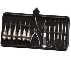 Set instrumental dental completo perros y gatos