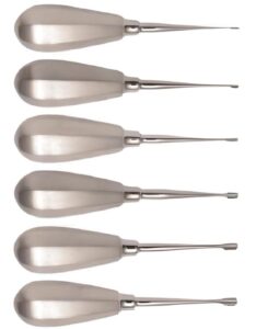 Elevador dental veterinario