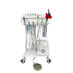 Equipo de limpieza dental veterinario equipado